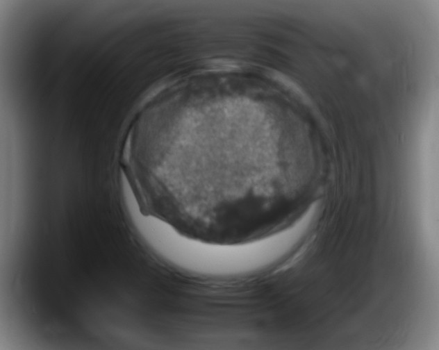 X0000087621409200705251953