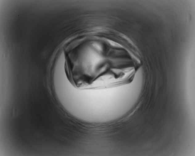 X0000087621410200705251953