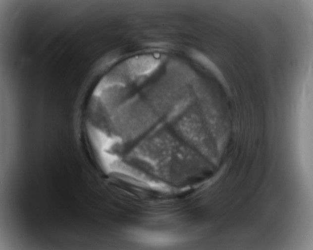 X0000087621411200705251953