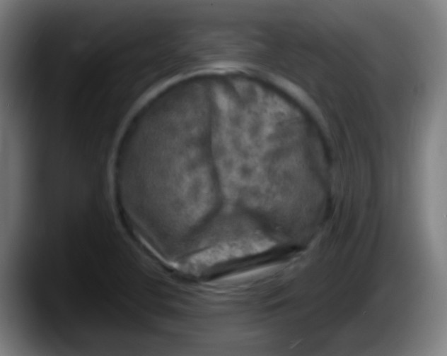 X0000087621412200705251953