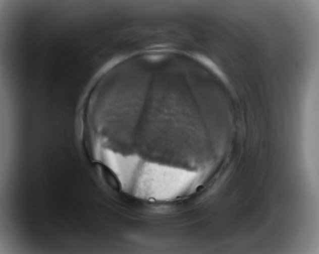 X0000087621413200705251953