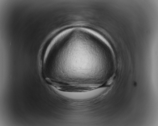 X0000087621414200705251953