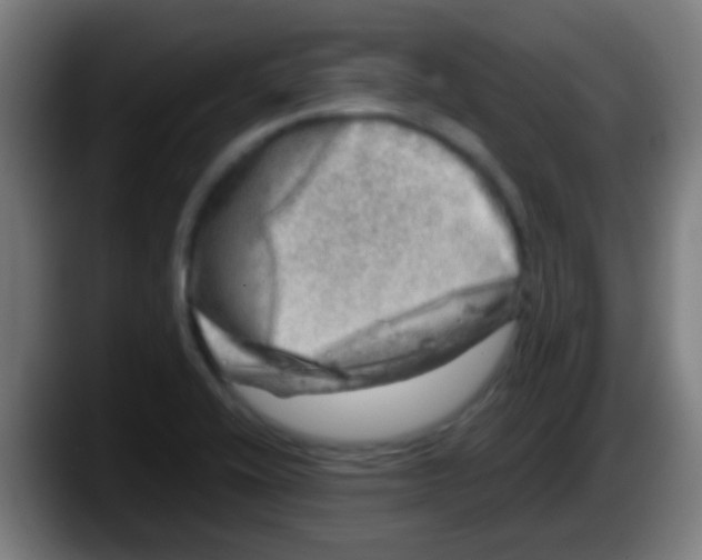 X0000087621416200705251953