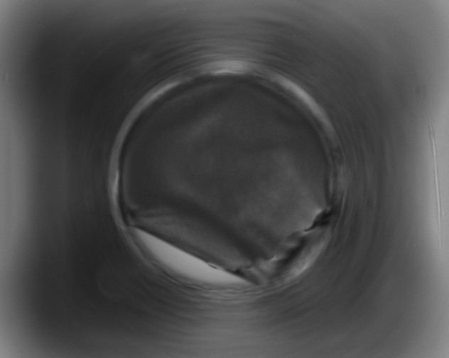 X0000087621418200705251953