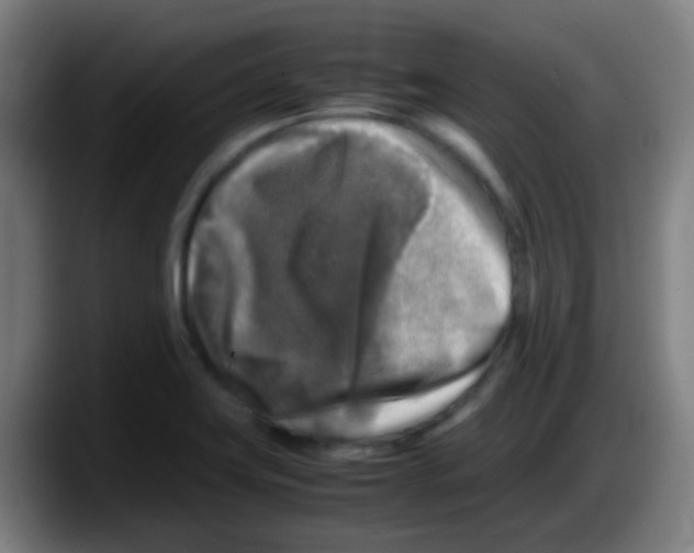 X0000087621419200705251953