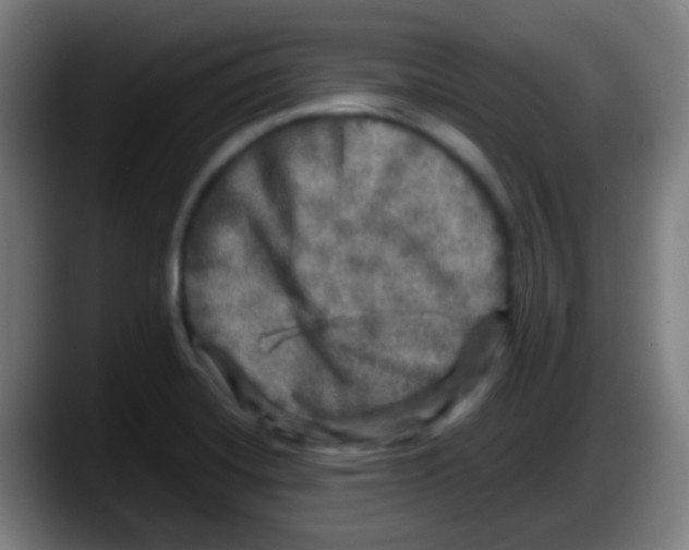 X0000087621420200705251953