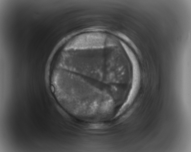 X0000087621421200705251953