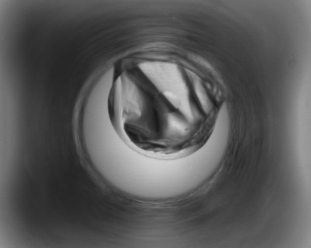 X0000087621422200705251953