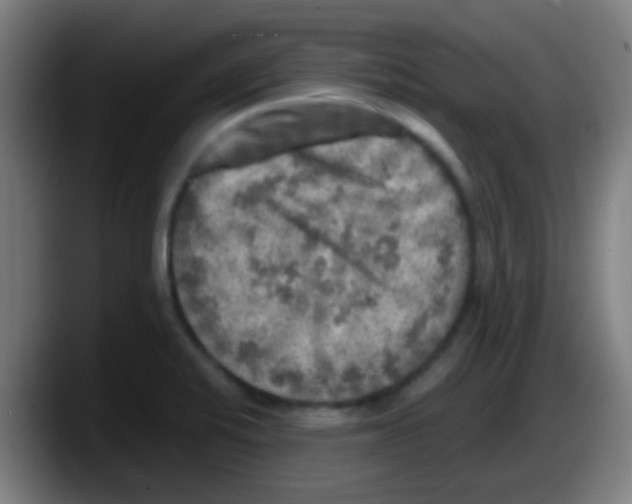 X0000087621424200705251953