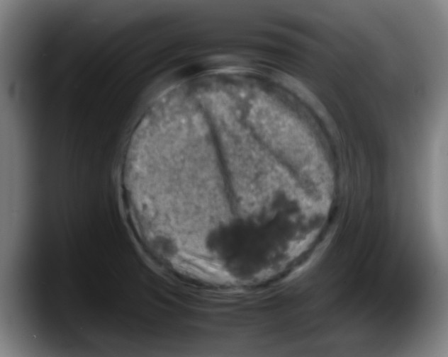 X0000087621425200705251953