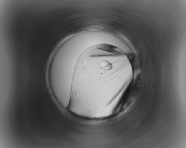 X0000087621426200705251953