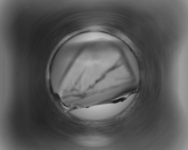 X0000087621428200705251953