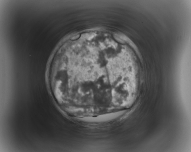 X0000087621429200705251953