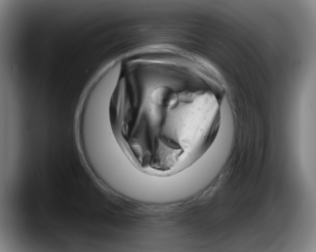 X0000087621430200705251953