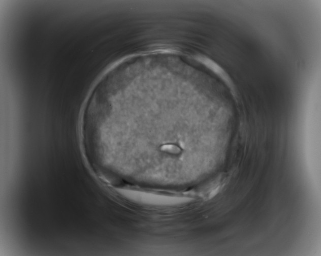 X0000087621431200705251953