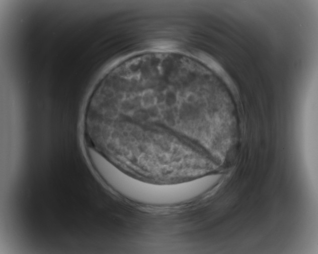 X0000087621432200705251953