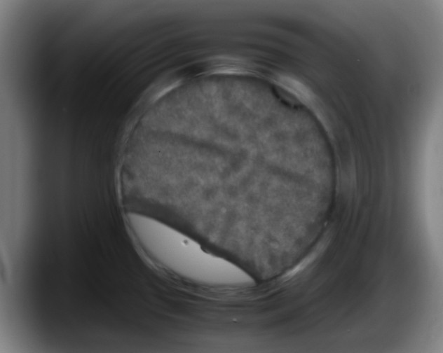 X0000087621433200705251953