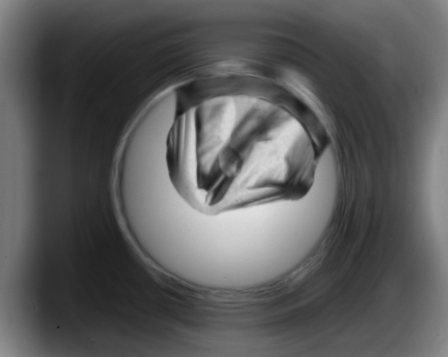 X0000087621434200705251954