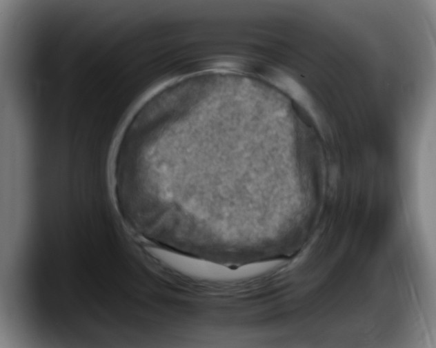 X0000087621435200705251954