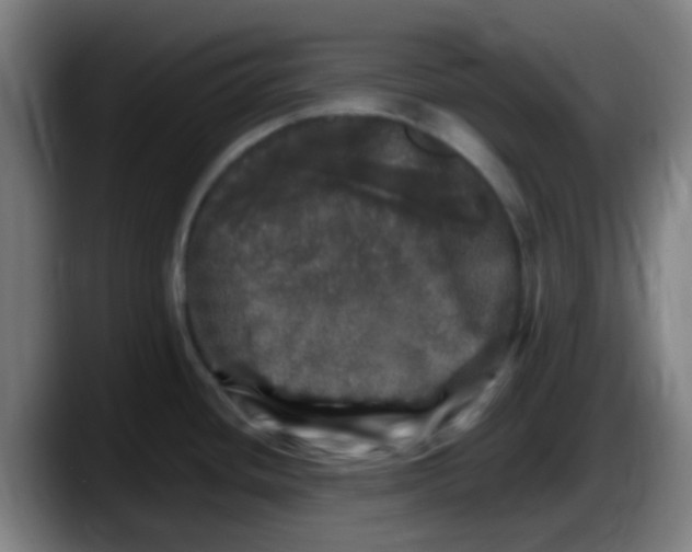 X0000087621436200705251954