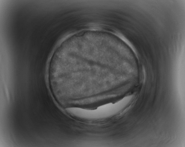 X0000087621437200705251954