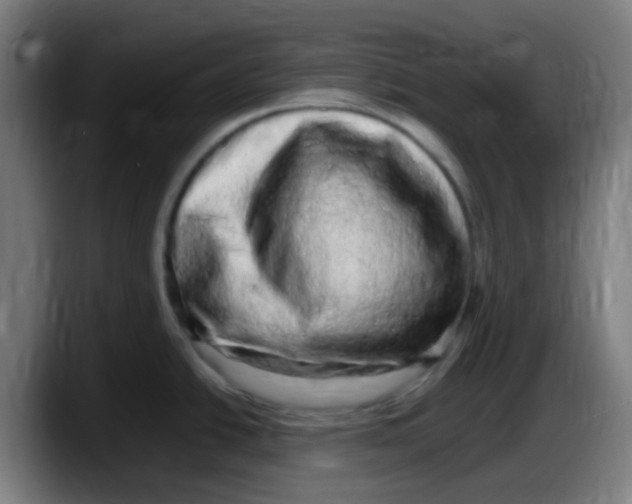 X0000087621438200705251954