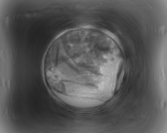 X0000087621439200705251954