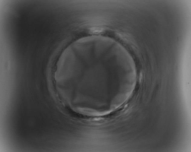 X0000087621441200705251953