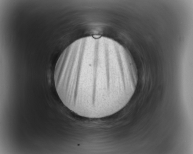 X0000087621442200705251953