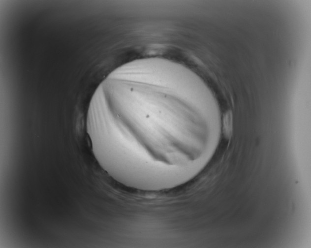 X0000087621443200705251953