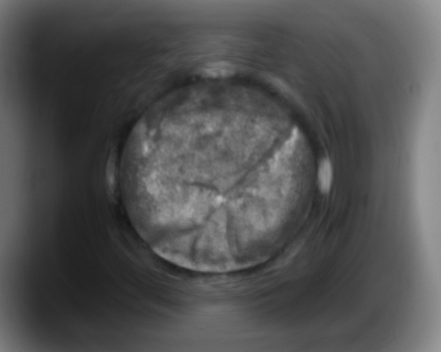 X0000087621444200705251953