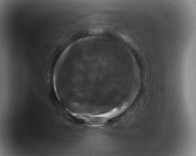 X0000087621445200705251953