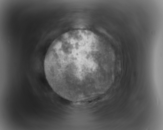 X0000087621446200705251953