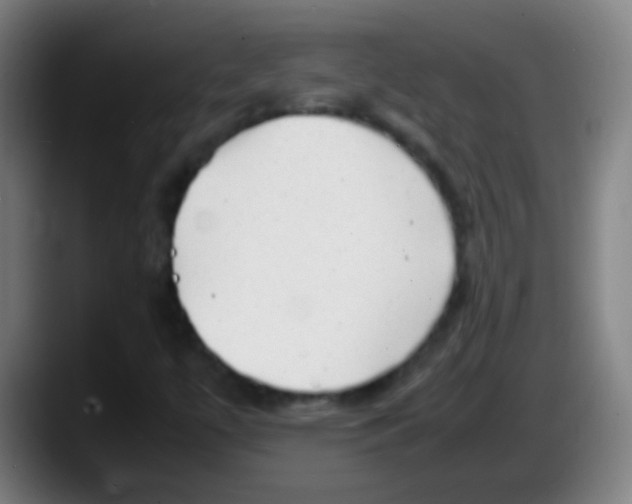 X0000087621447200705251953