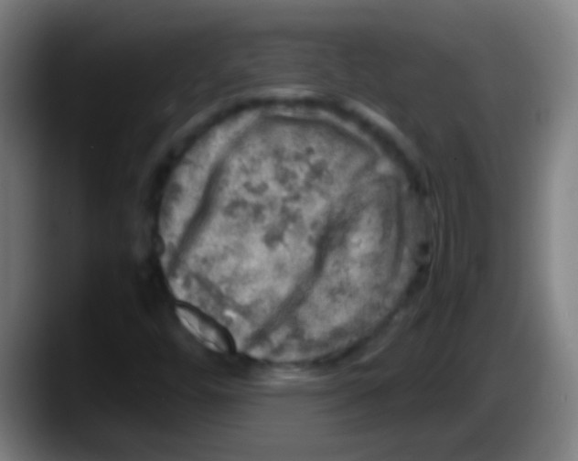 X0000087621448200705251953