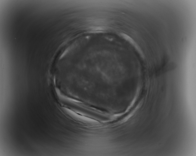 X0000087621449200705251953