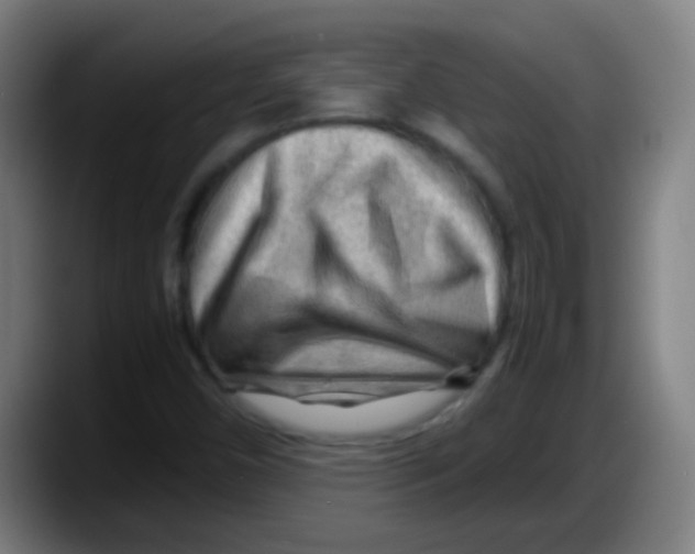 X0000087621450200705251953