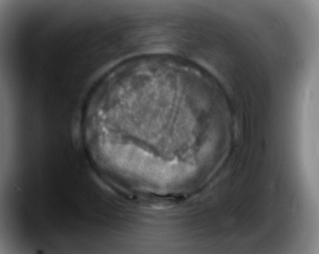 X0000087621452200705251953