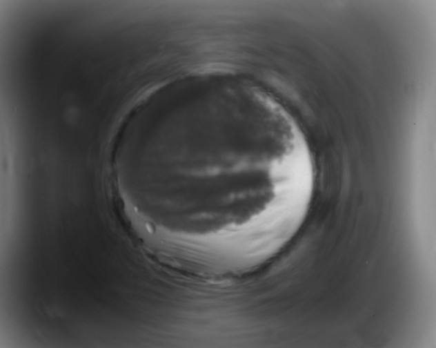 X0000087621453200705251953