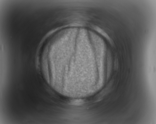 X0000087621454200705251953