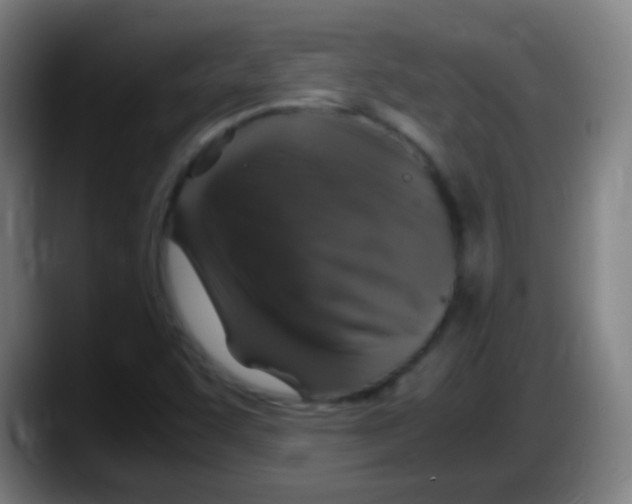 X0000087621455200705251953