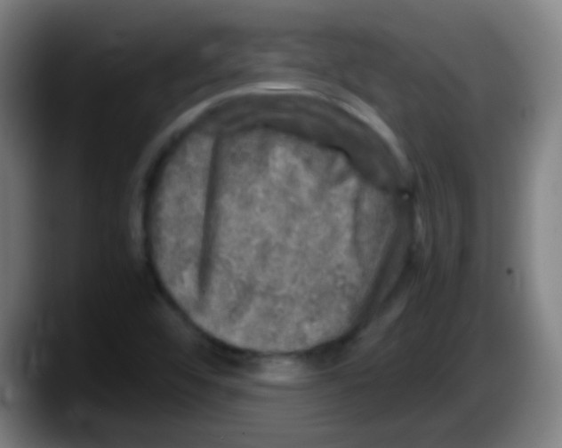 X0000087621456200705251953