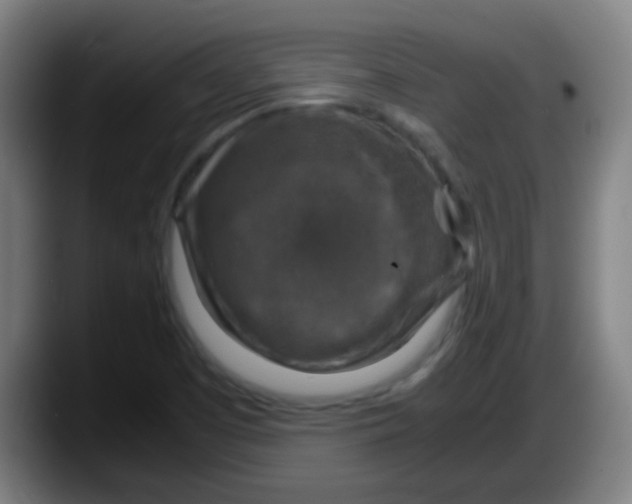 X0000087621457200705251953