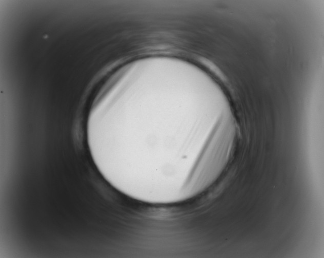 X0000087621458200705251953