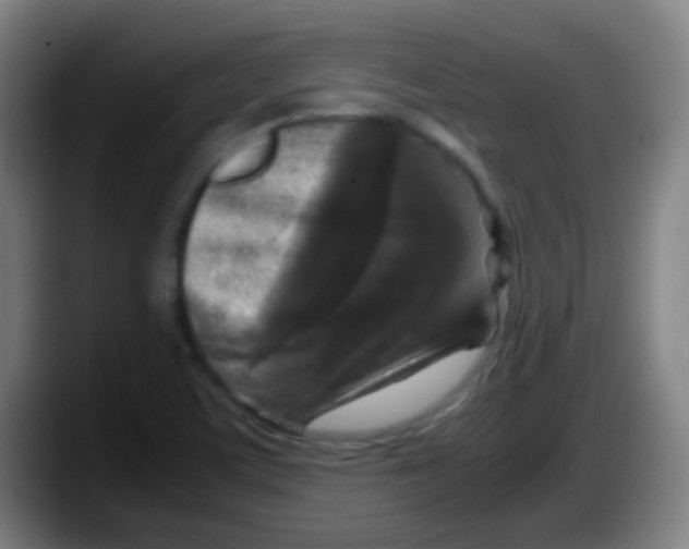 X0000087621459200705251953