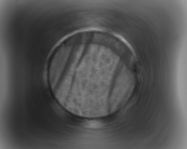 X0000087621460200705251953