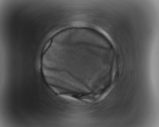 X0000087621461200705251953