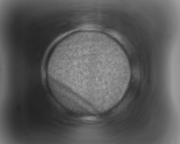 X0000087621462200705251953