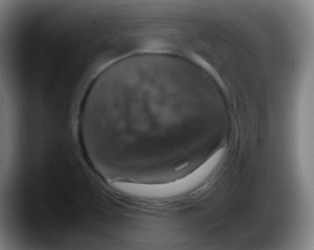 X0000087621463200705251953