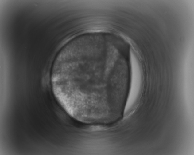 X0000087621465200705251953